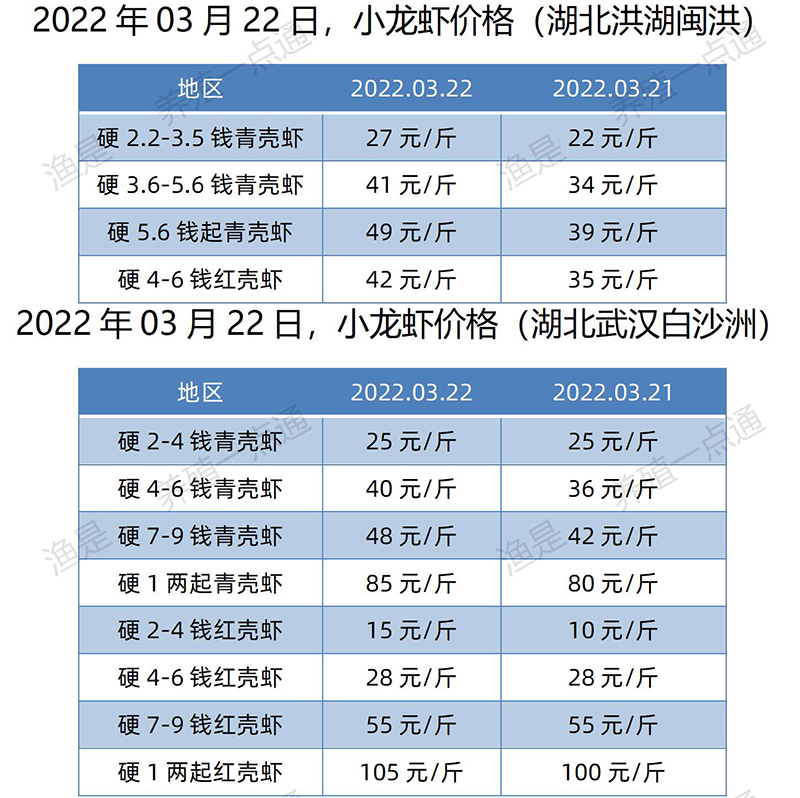 2022.03.22，小龙虾价格（湖北）