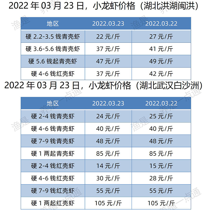 2022.03.23，小龙虾价格（湖北）