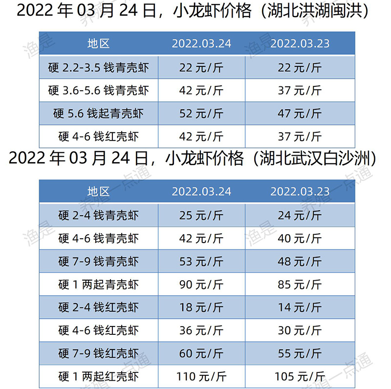 2022.03.24，小龙虾价格（湖北）