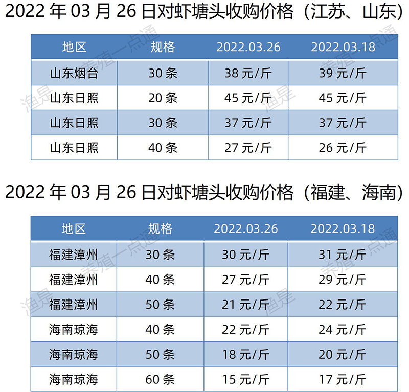 2022.03.26，对虾塘头收购价（江苏、山东、福建、海南）