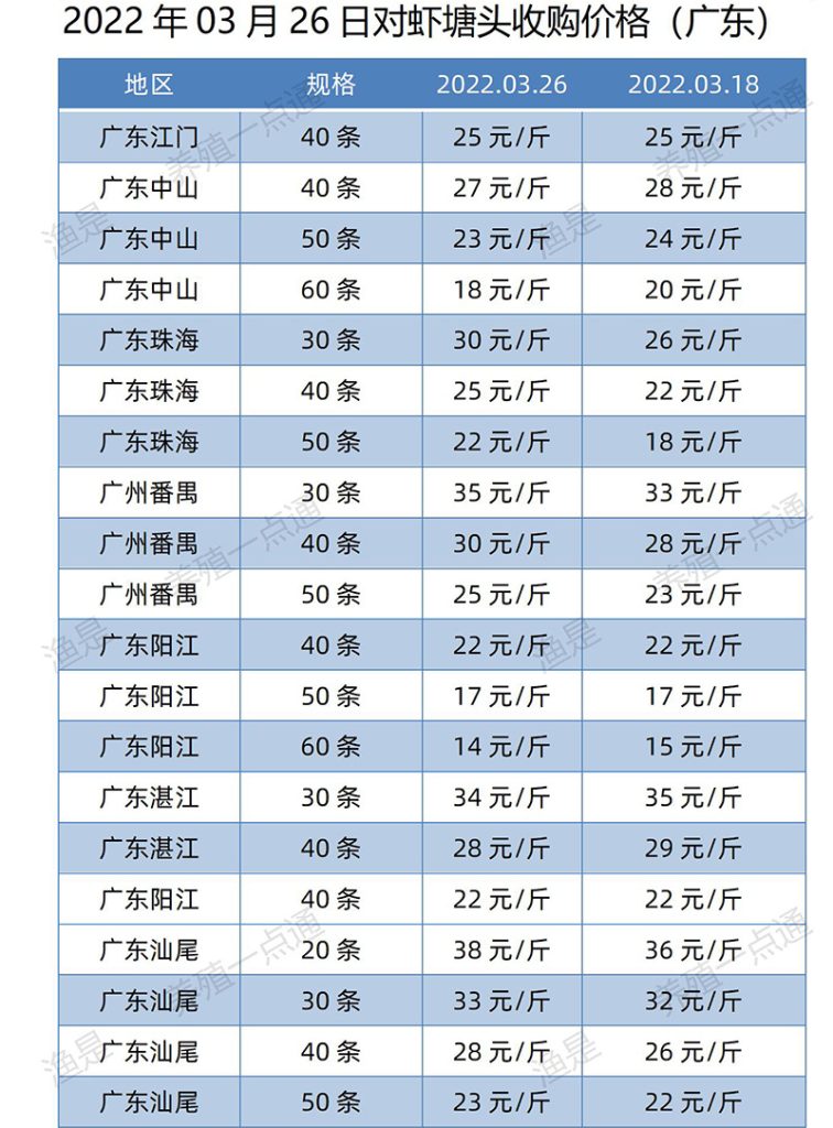 2022.03.26，对虾塘头收购价（广东）