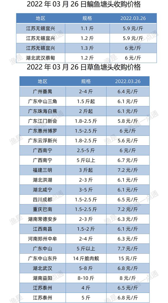 2022.03.26，鳊鱼、草鱼塘头收购价。