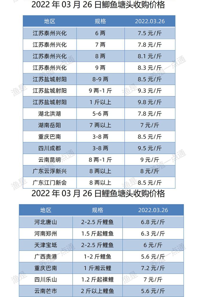 2022.03.26，鲫鱼、鲤鱼塘头收购价。