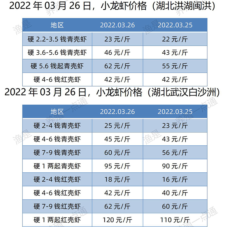 2022.03.26，小龙虾价格（湖北）