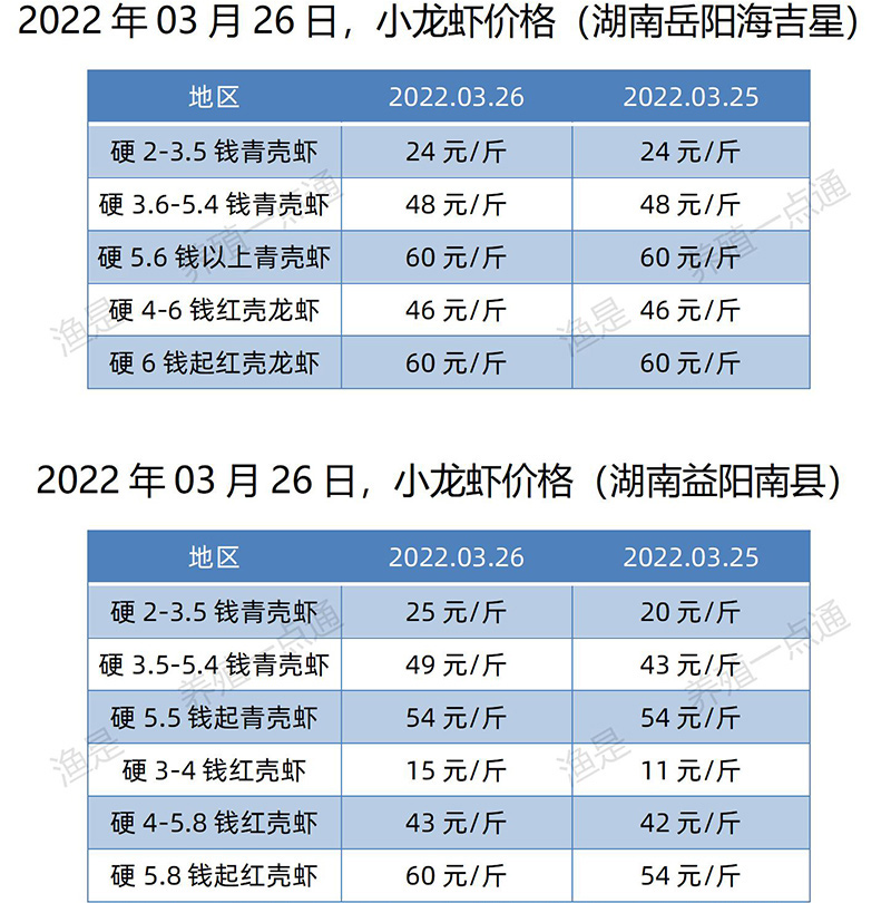 2022.03.26，小龙虾价格（湖南）