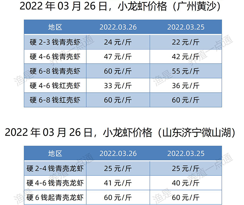 2022.03.26，小龙虾价格（广东、山东）