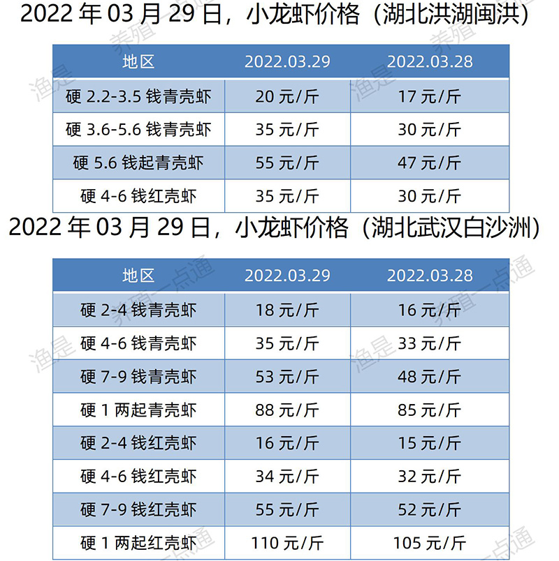 2022.03.29，小龙虾价格（湖北）