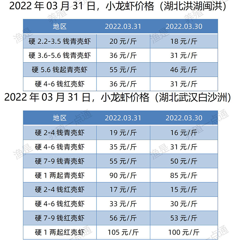 2022.03.31，小龙虾价格（湖北）