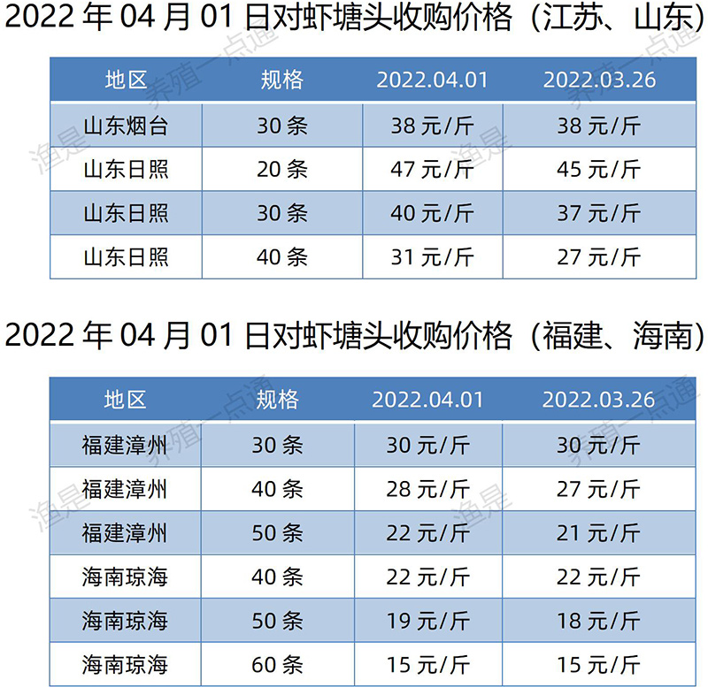 2022.04.01，南美白对虾塘头收购价格（江苏、山东、福建、海南）