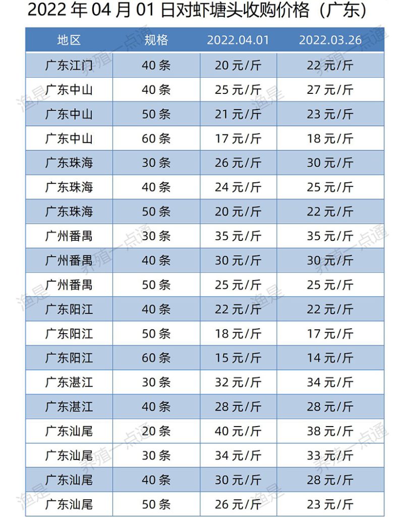 2022.04.01，南美白对虾塘头收购价格（广东）