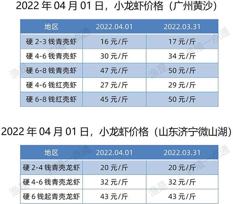 2022.04.01，小龙虾价格（山东、广东）
