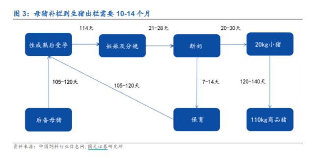 （数据来源：Wind，国元证券）