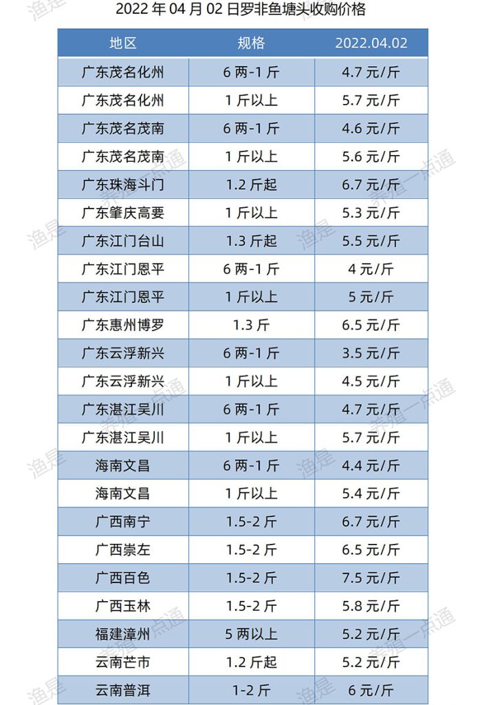 2022.04.02，罗非鱼塘头收购价。