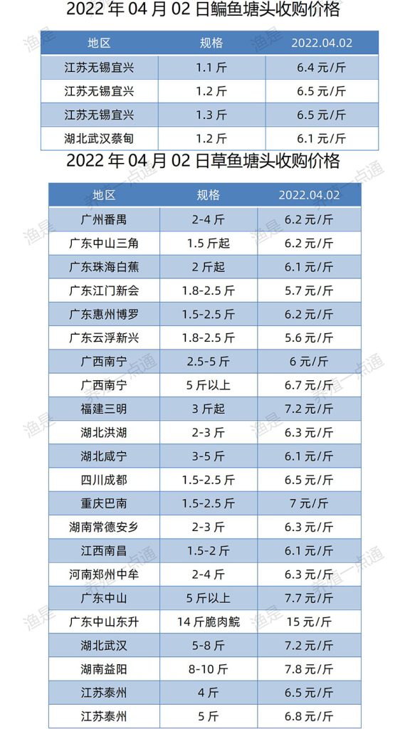 2022.04.02，鳊鱼、草鱼塘头收购价。