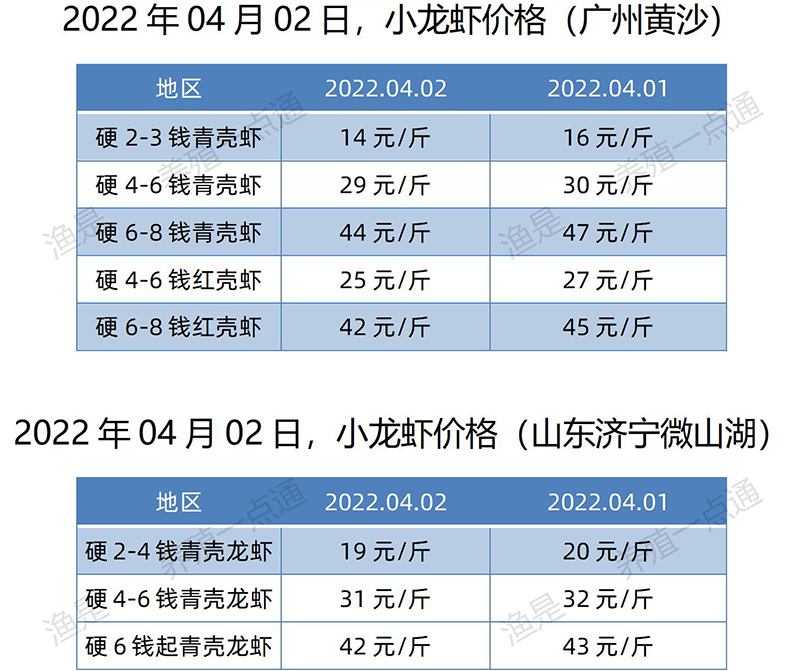 2022.04.02，小龙虾价格（广东、山东）