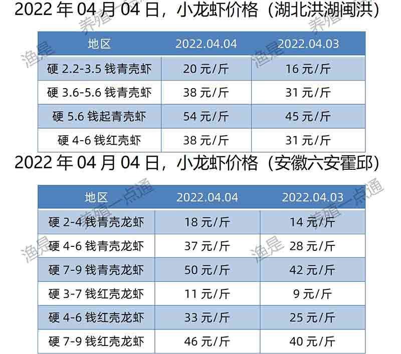 2022.04.04，小龙虾价格（湖北、安徽）