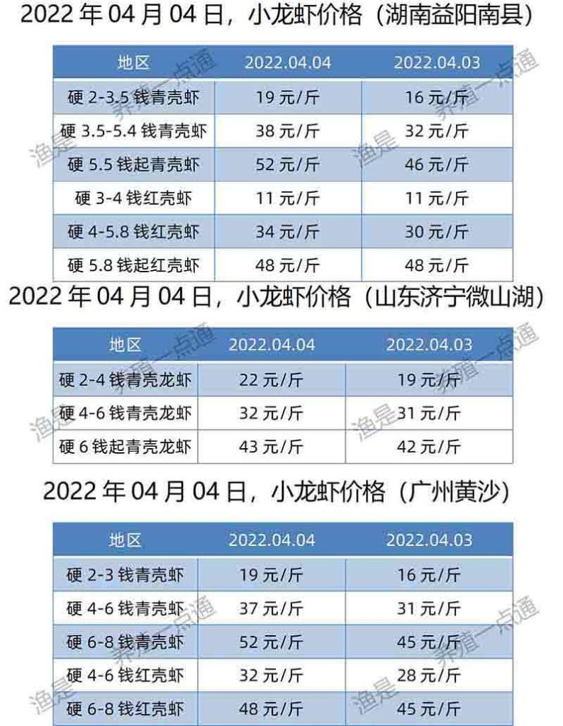2022.04.04，小龙虾价格（湖南、山东、广东）