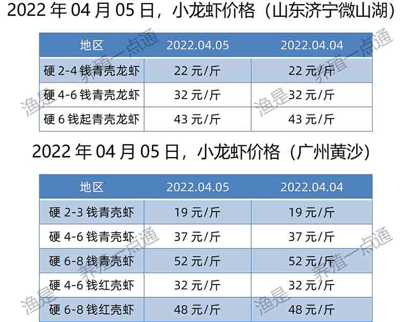 2022.04.05，小龙虾价格（广东、山东）