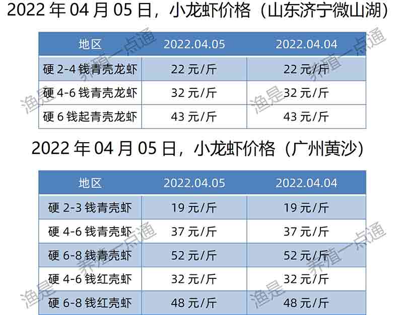 2022.04.05，小龙虾价格（广东、山东）