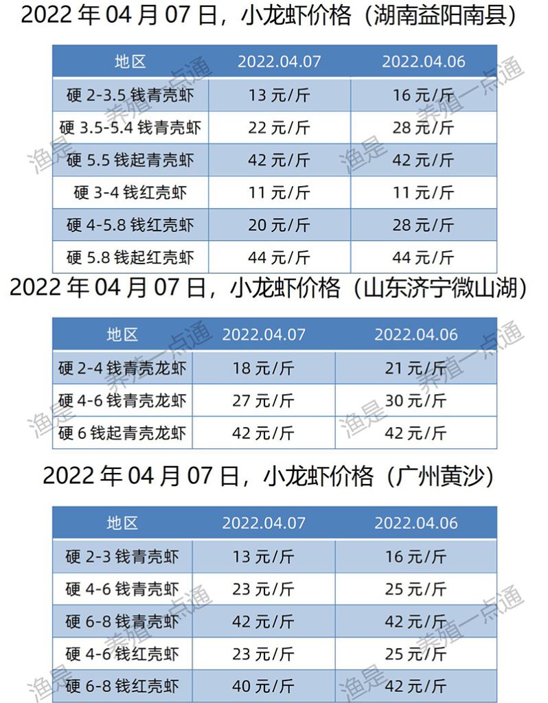 2022.04.07，小龙虾价格（湖南、山东、广东）