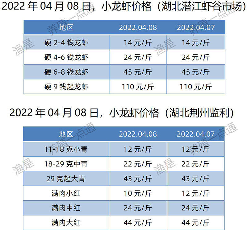 2022.04.08，小龙虾价格（湖北）