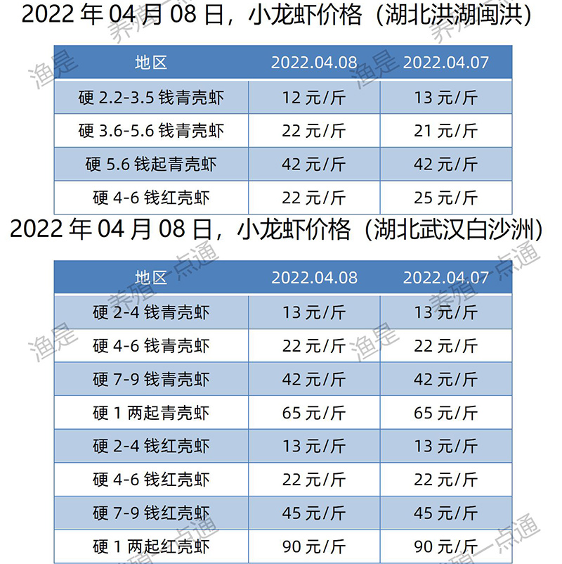 2022.04.08，小龙虾价格（湖北）