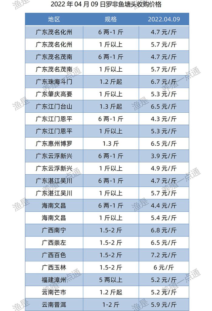 2022.04.09，罗非鱼塘头收购价。