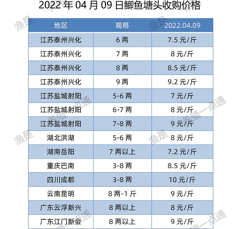 2022.04.09，鲫鱼塘头收购价。