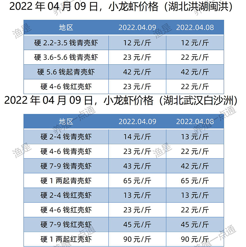 2022.04.09，小龙虾价格（湖北）