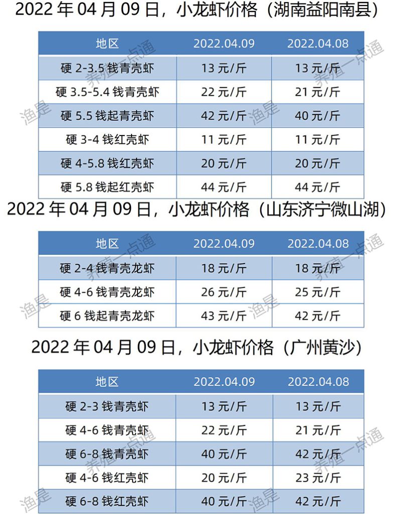 2022.04.09，小龙虾价格（湖南、山东、广东）