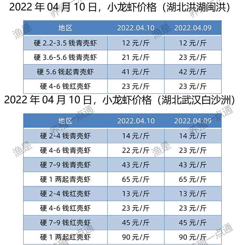 2022.04.10，小龙虾价格（湖北）