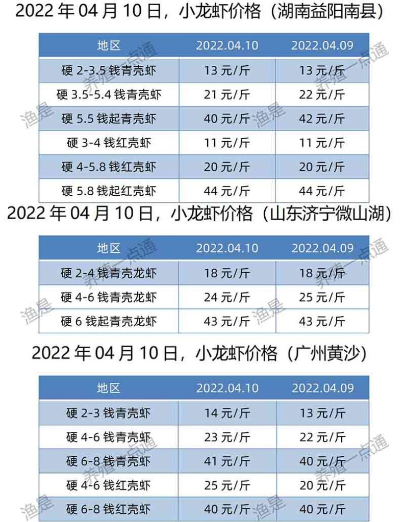 2022.04.10，小龙虾价格（湖南、山东、广东）