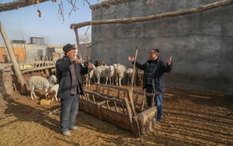 杨开伦（白族），云南大理人，新疆农业大学动物科学学院院长、博导，牛羊专家