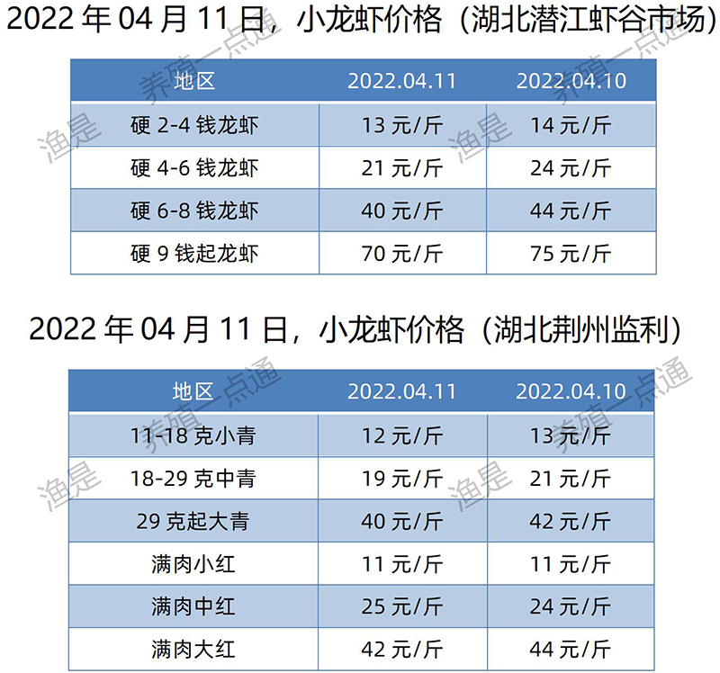 2022.04.11，小龙虾价格（湖北）