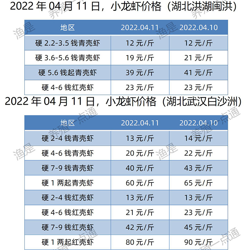 2022.04.11，小龙虾价格（湖北）