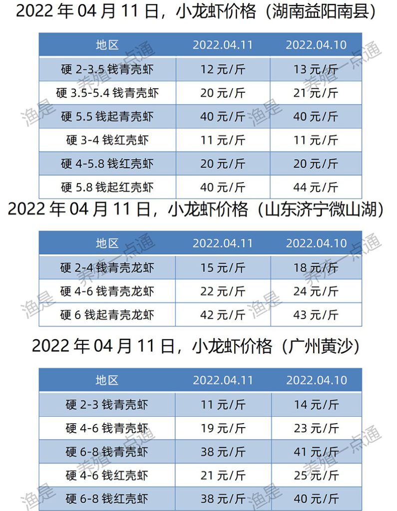 2022.04.11，小龙虾价格（湖南、山东、广东）