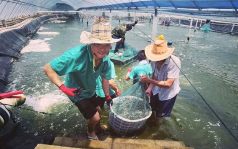 夏季对虾养殖五要点，增氧、控温、夜投料…