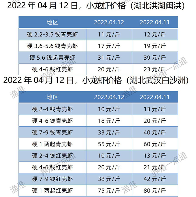 2022.04.12，小龙虾价格（湖北）
