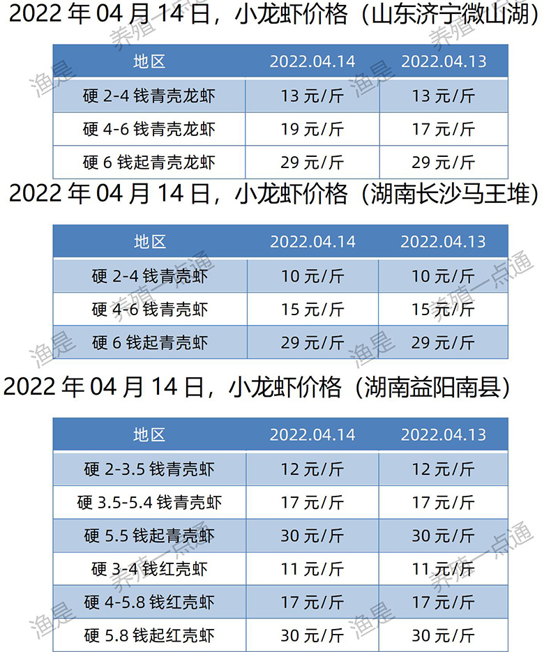 2022.04.14，小龙虾价格（山东、湖南）