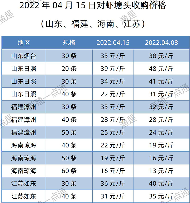 2022.04.15，南美白对虾塘头收购价格（山东、福建、海南、江苏）