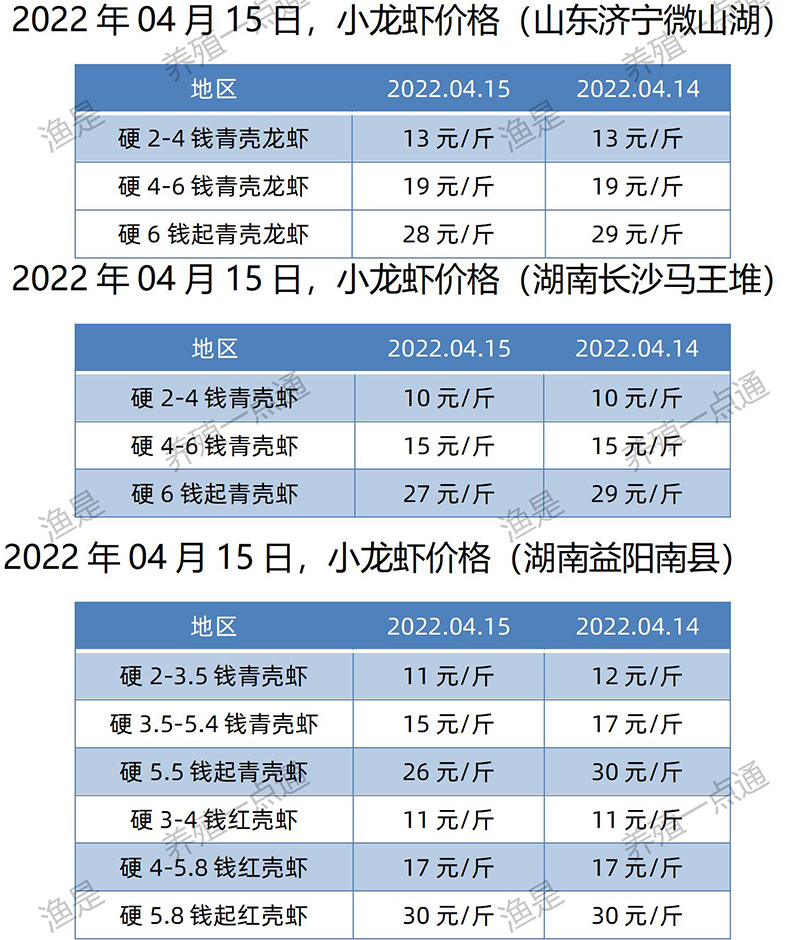2022.04.15，小龙虾价格（山东、湖南）