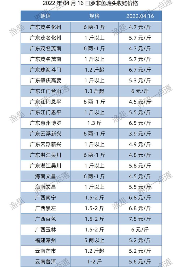 2022.04.09，罗非鱼塘头收购价。