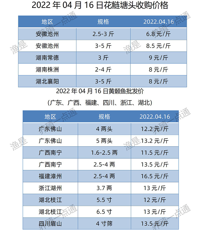 2022.04.09，花鲢黄颡鱼塘头收购价。