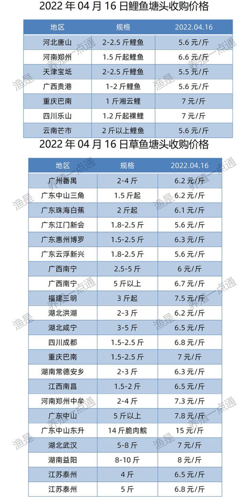 2022.04.09，鲤鱼、草鱼塘头收购价。