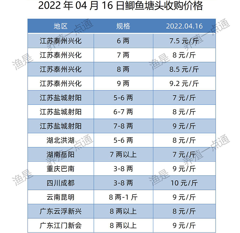 2022.04.09，鲫鱼塘头收购价。