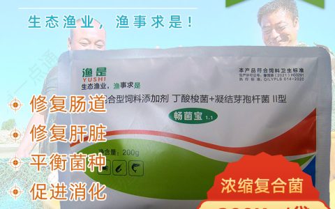 渔是畅菌宝成份、功能简介