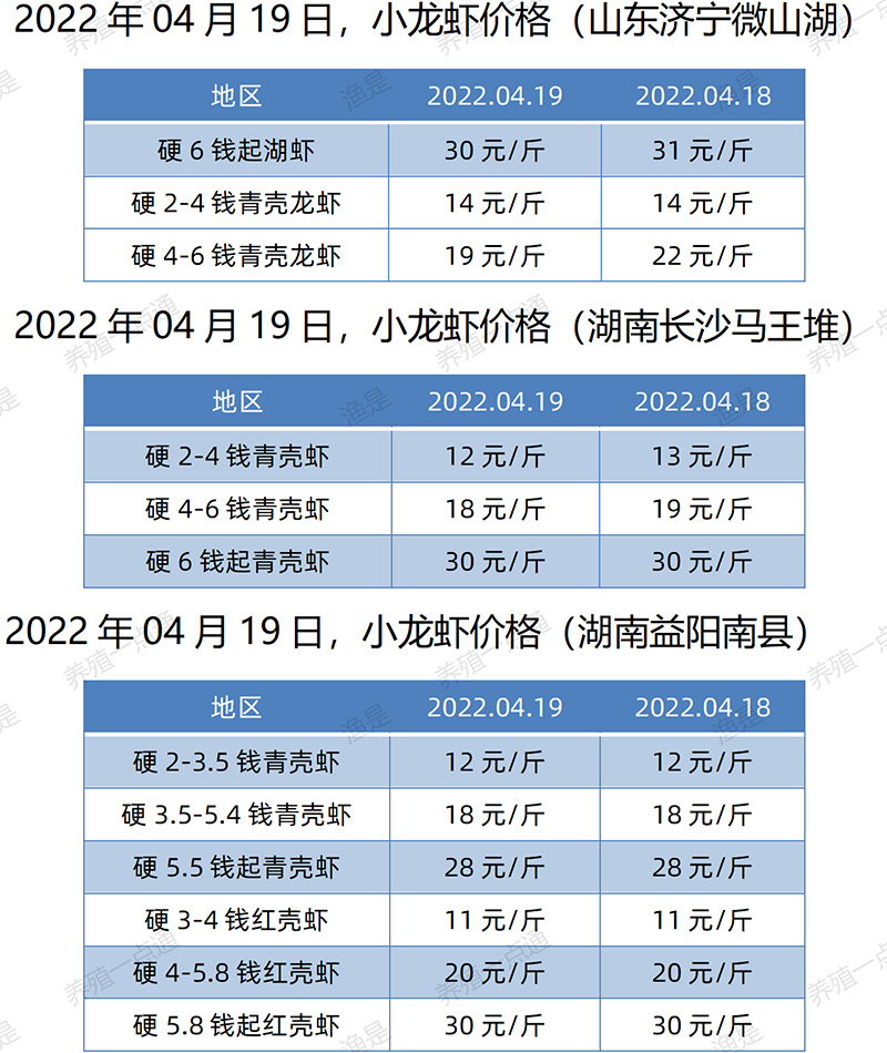 2022.04.19，小龙虾价格（山东、湖南）