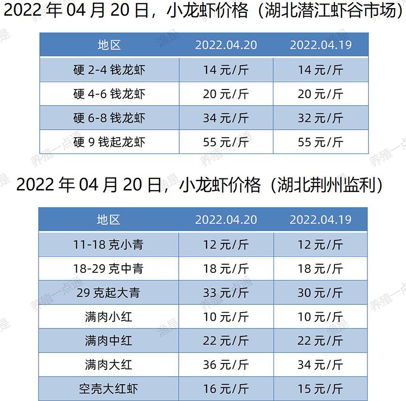 2022.04.20，小龙虾价格（湖北）