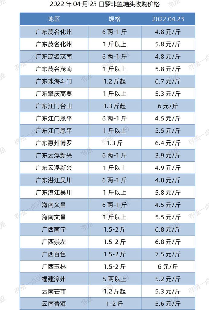 2022.04.23，罗非鱼塘头收购价