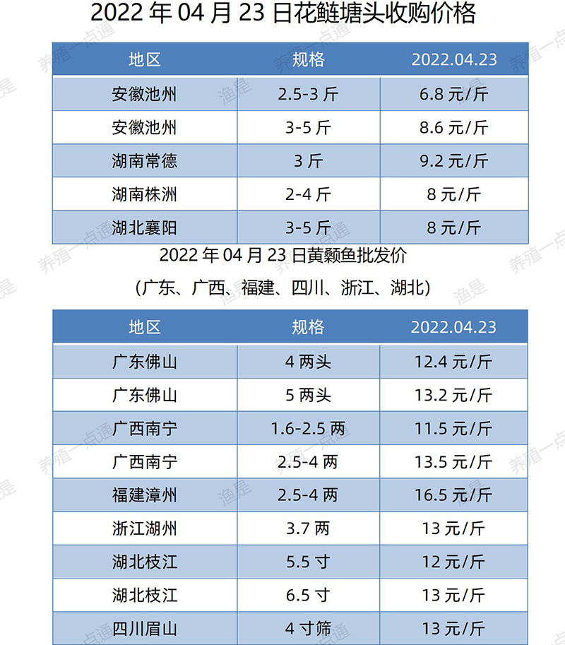 2022.04.23，花鲢、黄颡鱼塘头收购价